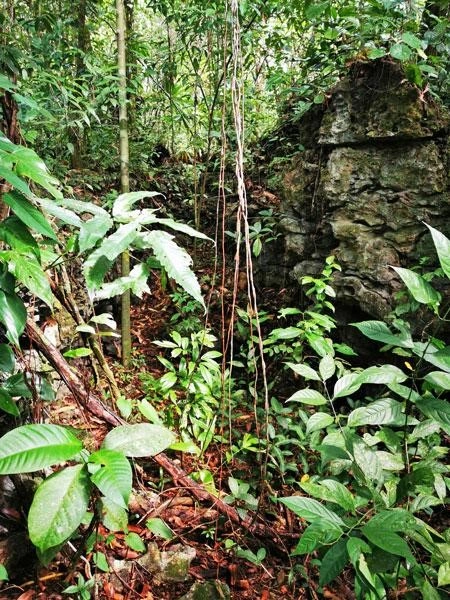 Большой участок площадью 13 000 м² в Рио-Дульсе, Гватемала