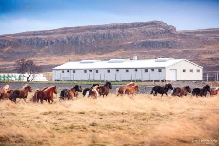 Комфортабельный дом 8+1 в Эйсстадире, Исландия