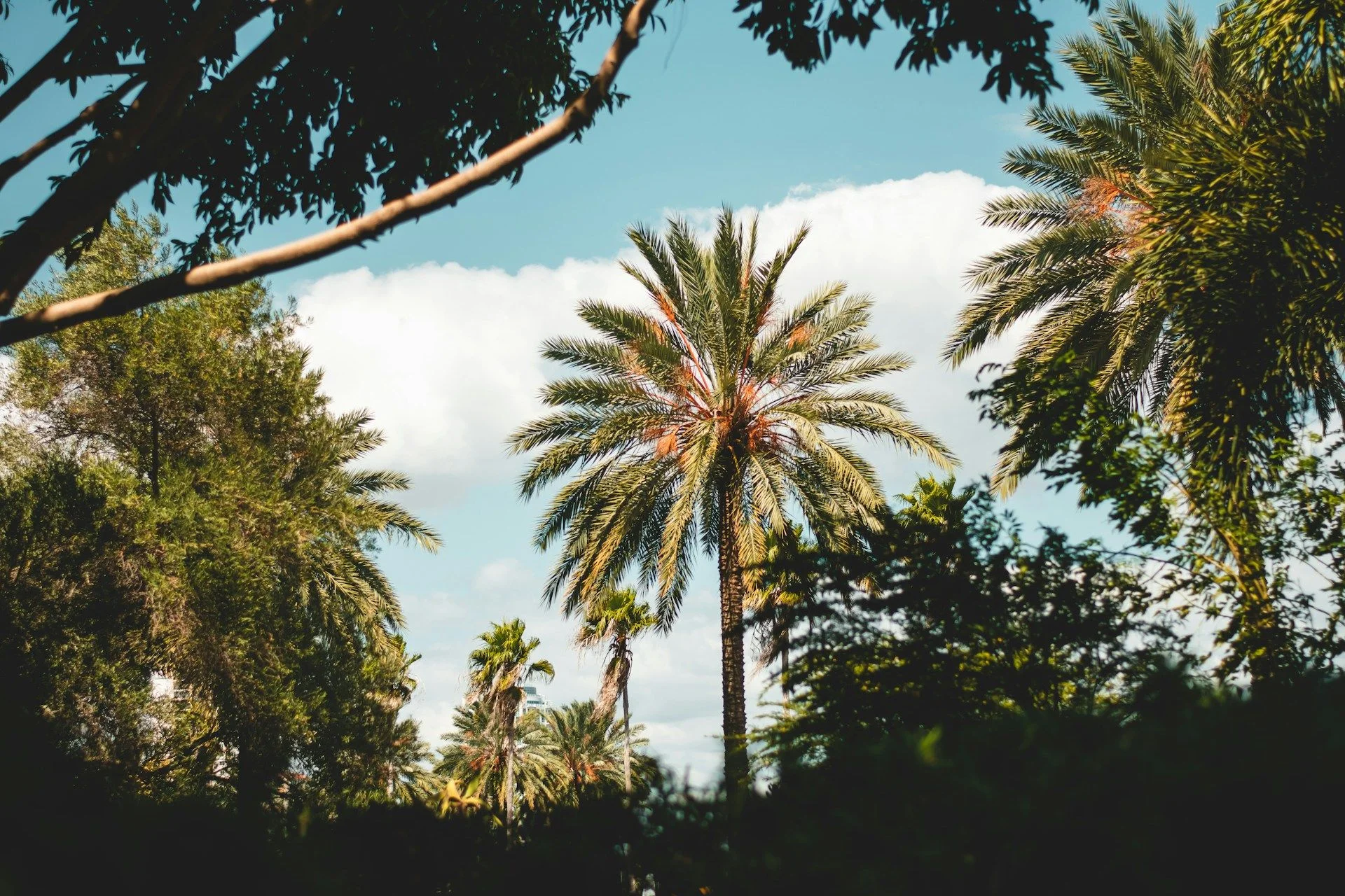 Недвижимость на продажу на Коморах — объявления от собственников (FSBO) | VelesClub Int.