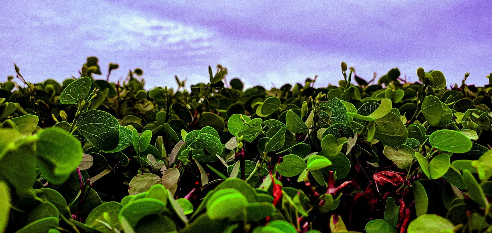 Недвижимость для инвестиций в Кумаси – аренда и коммерческая недвижимость | VelesClub Int.