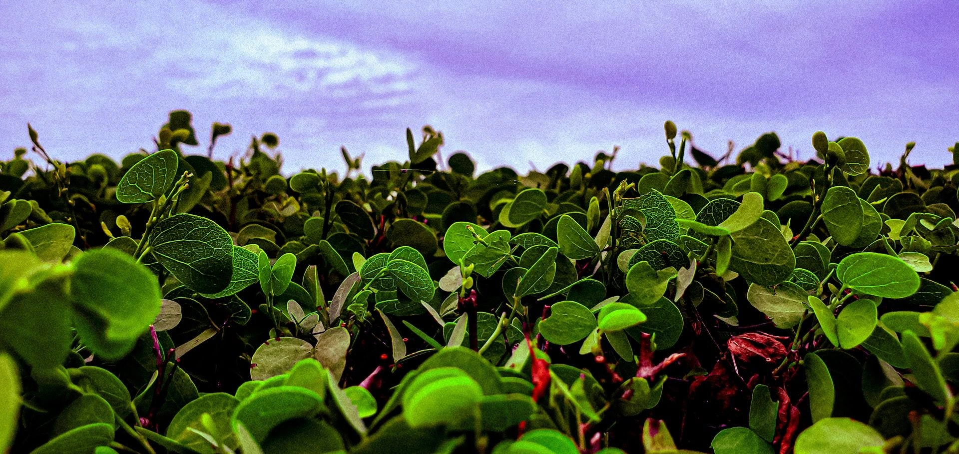 image city Кумаси