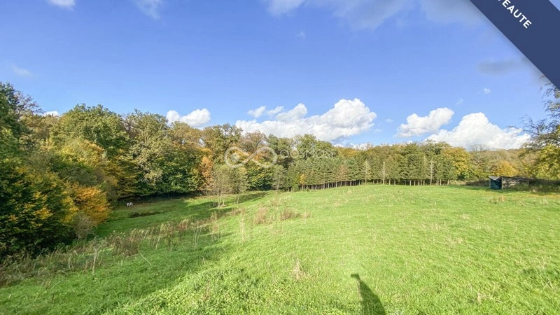 Престижный участок площадью 8030 m² в Сиври-Ранс, Бельгия