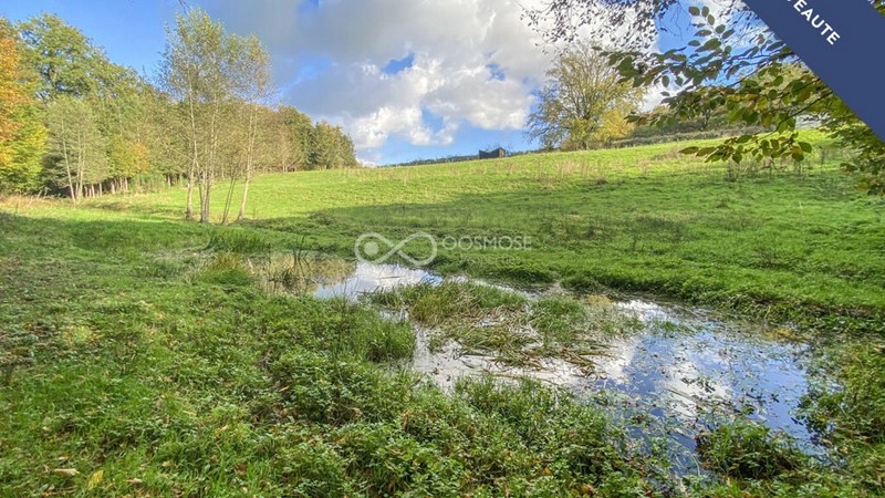 Престижный участок площадью 8030 m² в Сиври-Ранс, Бельгия