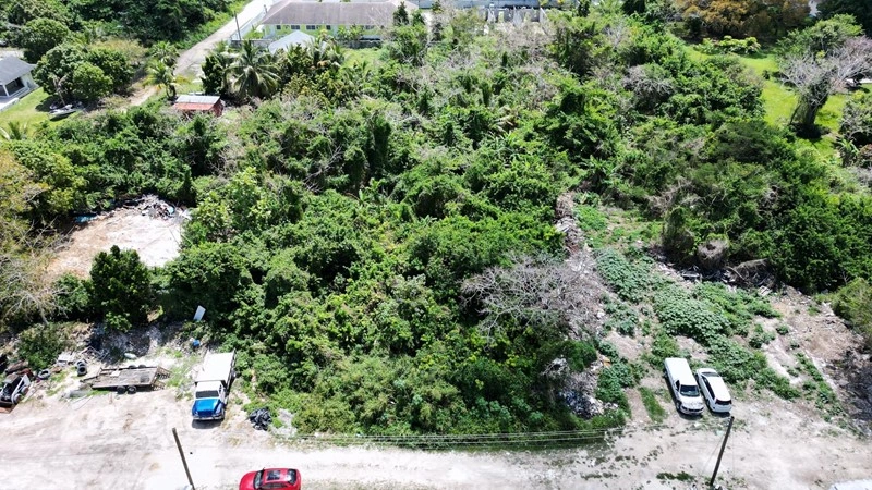 Земельный участок 590 m2 в Нассау, Багамы