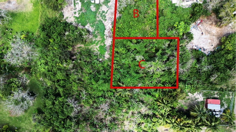 Земельный участок 590 m2 в Нассау, Багамы