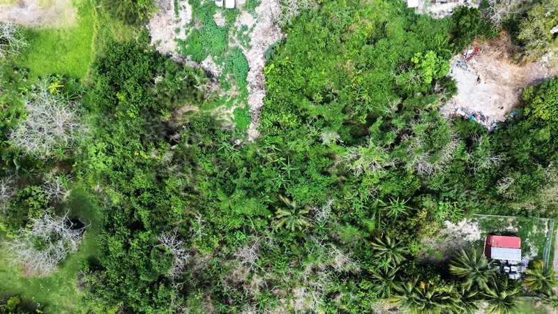 Земельный участок площадью 624 m² в Нассау, Багамы