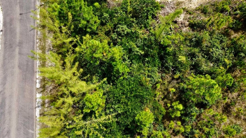 Земельный участок 2787 m2 в Нассау, Багамы