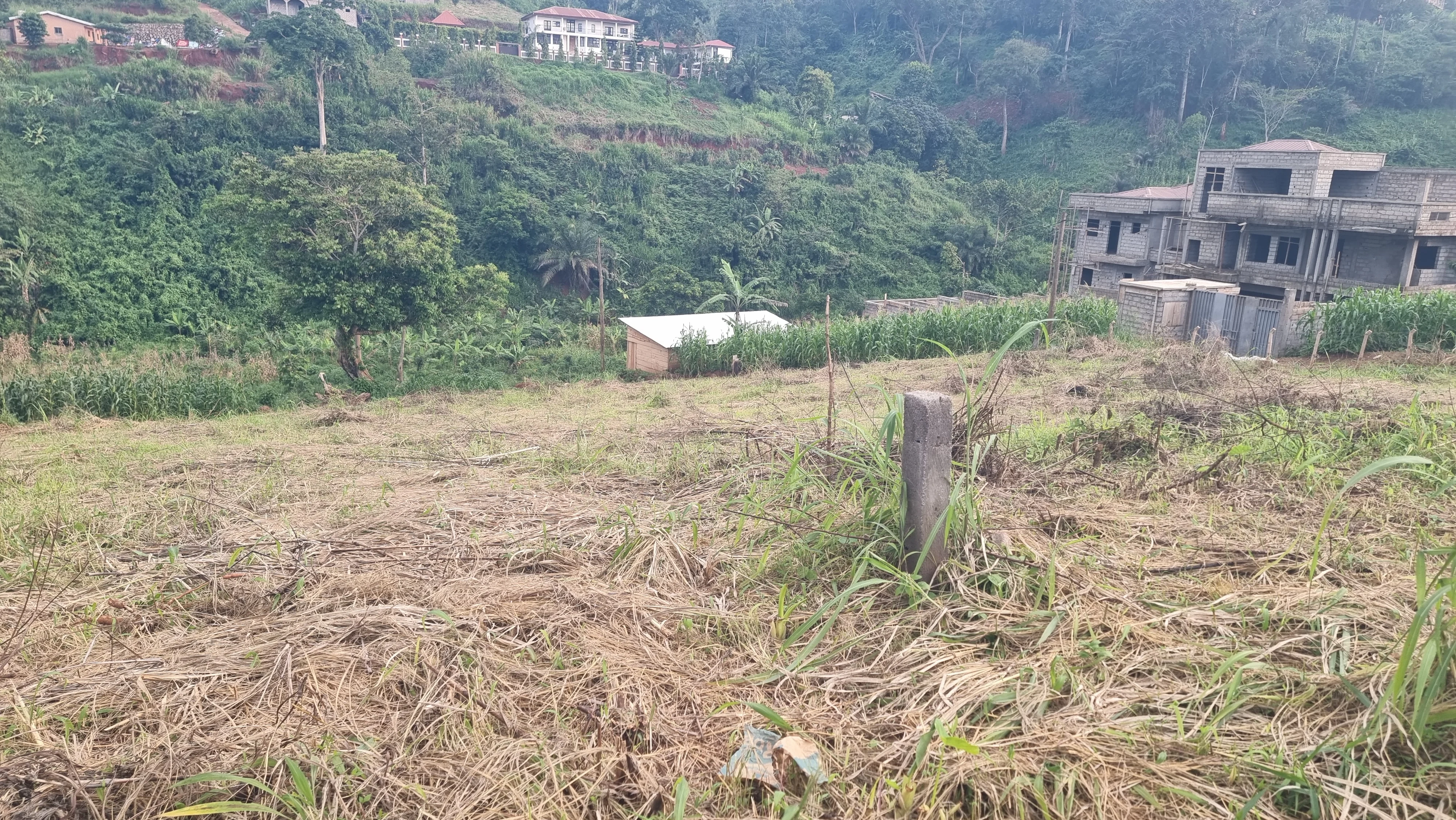 Земельный участок 1000 m2 в Яунде, Камерун