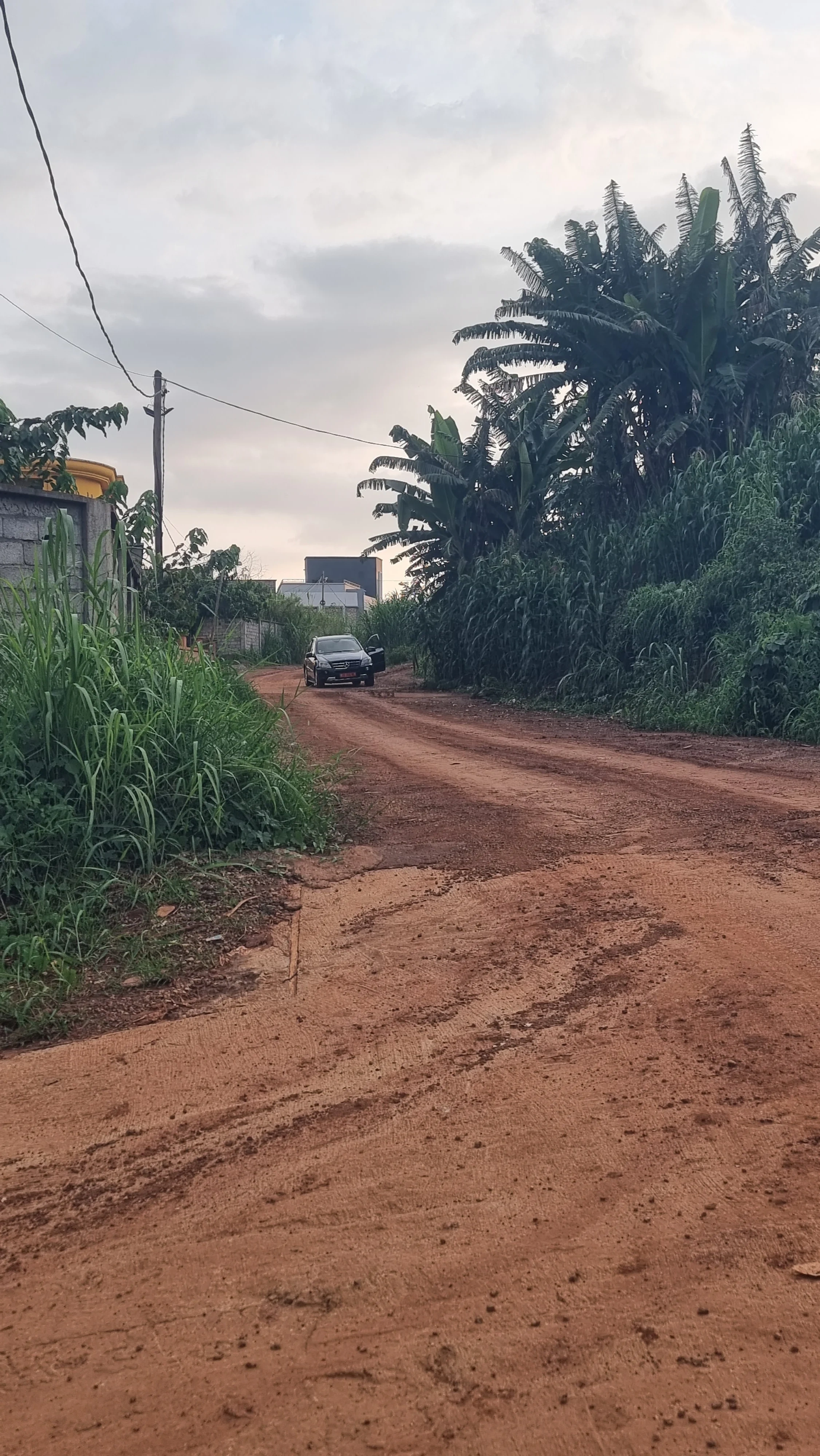 Земельный участок 1000 m2 в Яунде, Камерун