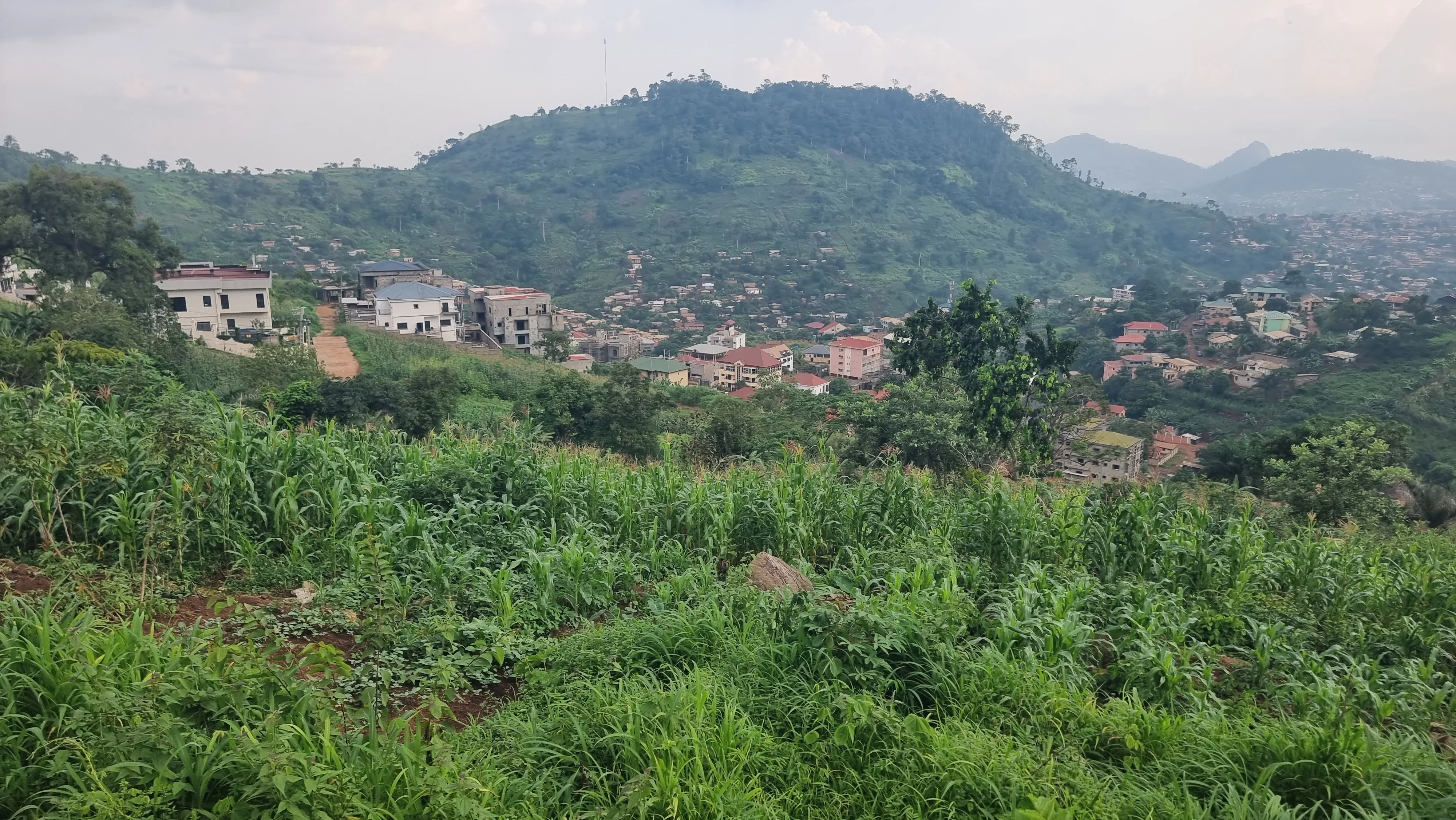 Участок 5000 m² в Яунде, Камерун