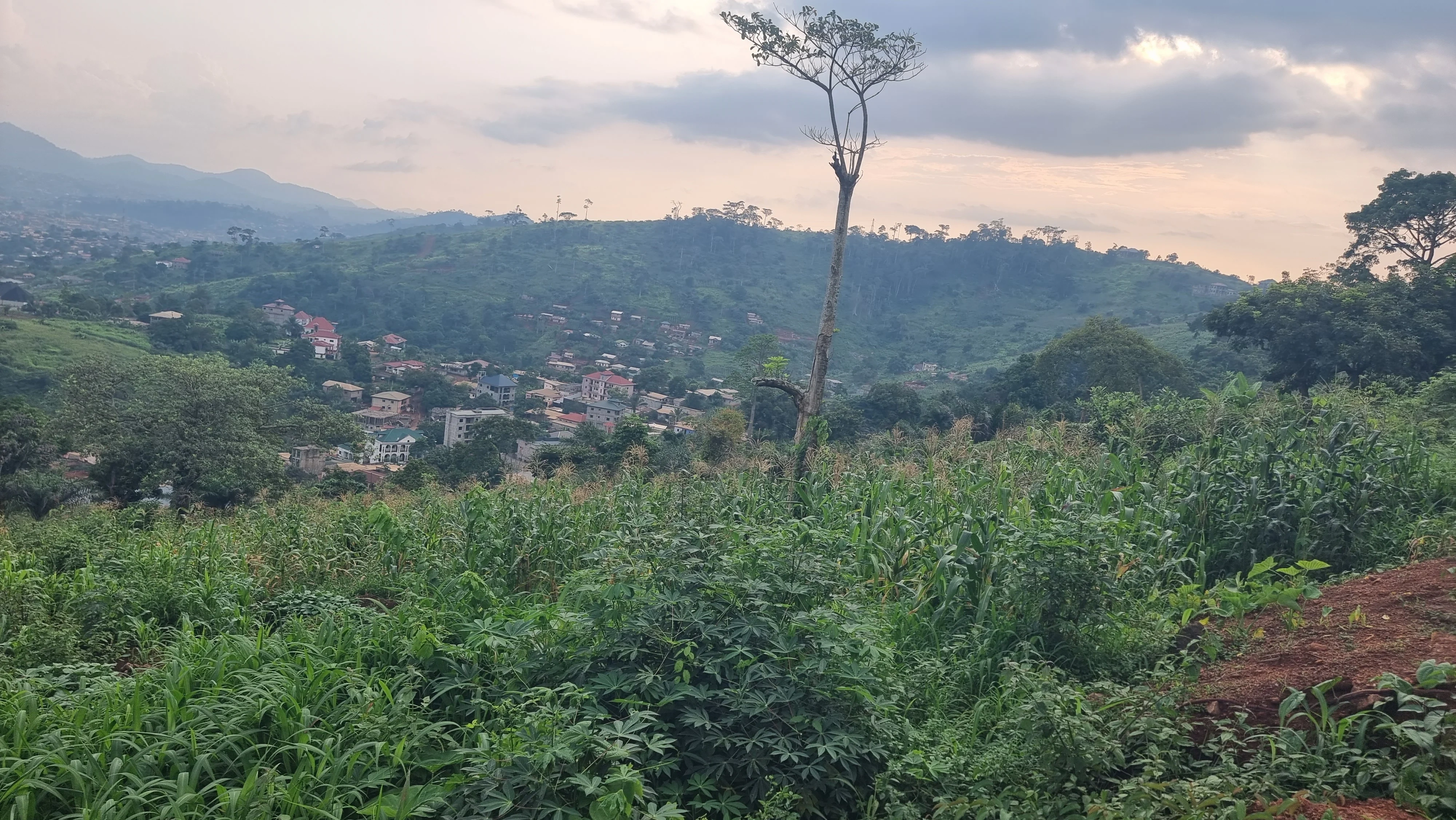 Участок 5000 m² в Яунде, Камерун