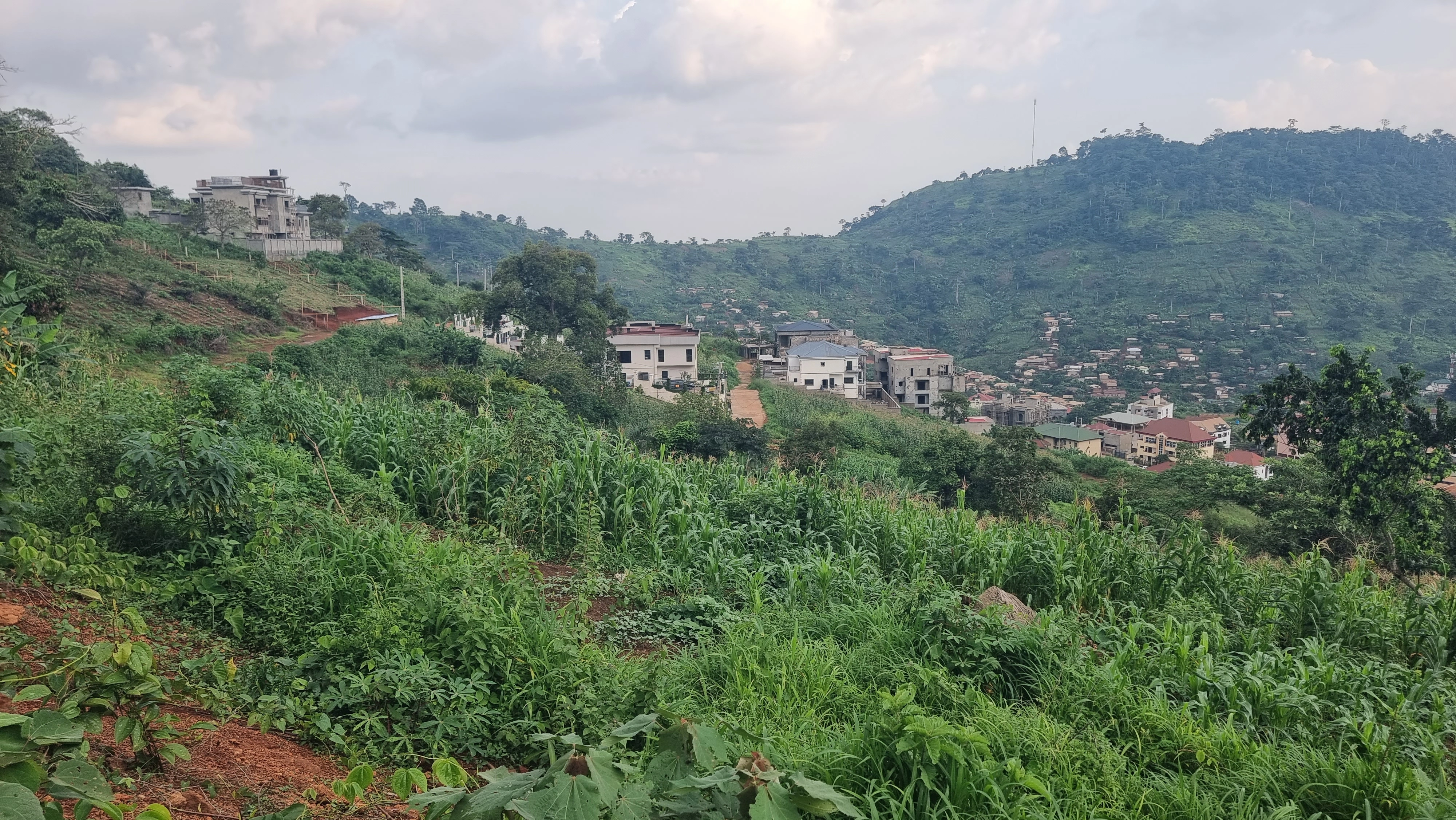 Участок 5000 m² в Яунде, Камерун