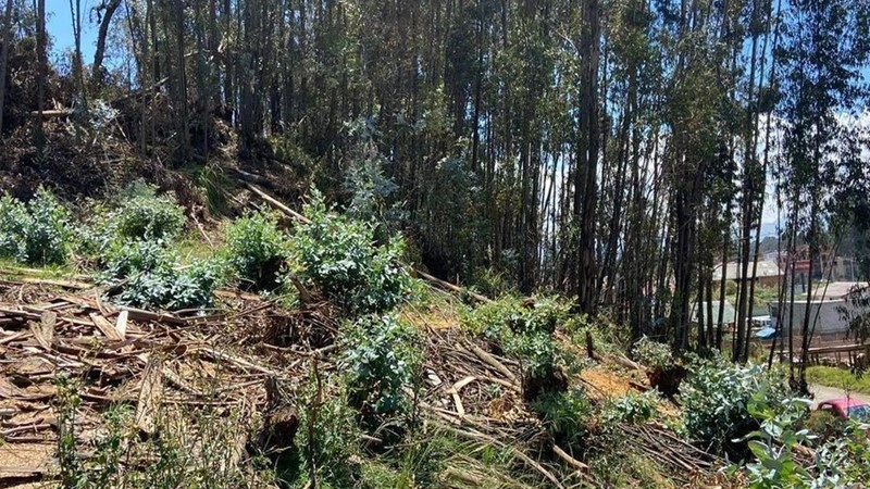 Участок земли 1759 m2 в Куэнке, Эквадор