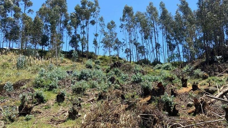 Участок земли 1759 m2 в Куэнке, Эквадор