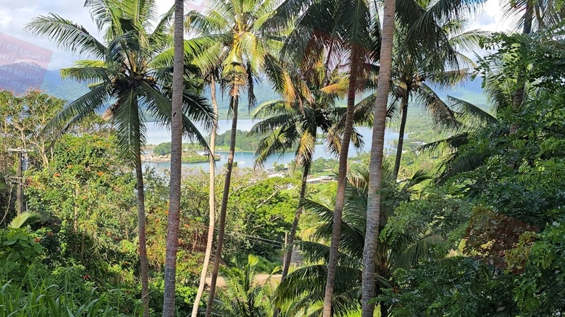 Земельный участок 8659 m2 в Савусаву, Фиджи