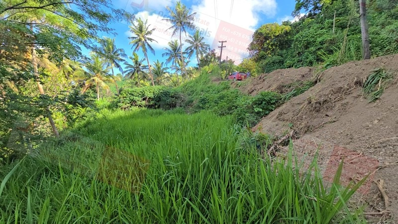 Земельный участок 8659 m2 в Савусаву, Фиджи