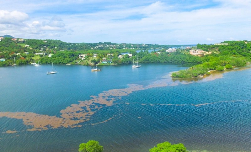 Участок 2474 m2 под строительство отеля в Сент-Джорджесе, Гренада