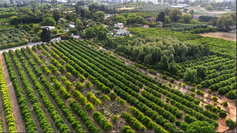 Участок с виллой рядом с Тель-Авивом, Израиль
