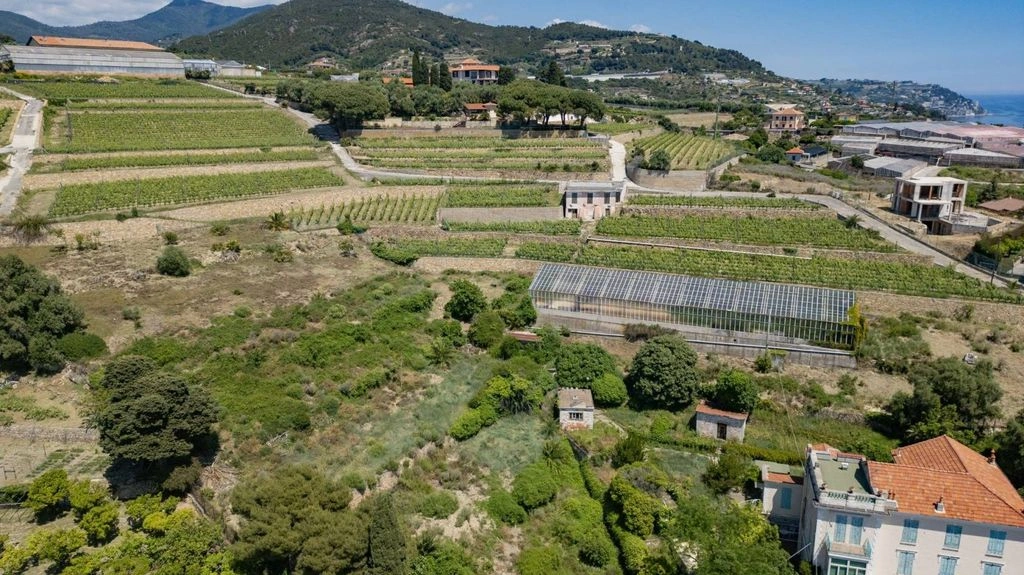 Участок с одобренным проектом для виллы с бассейном в Бордигере, Италия