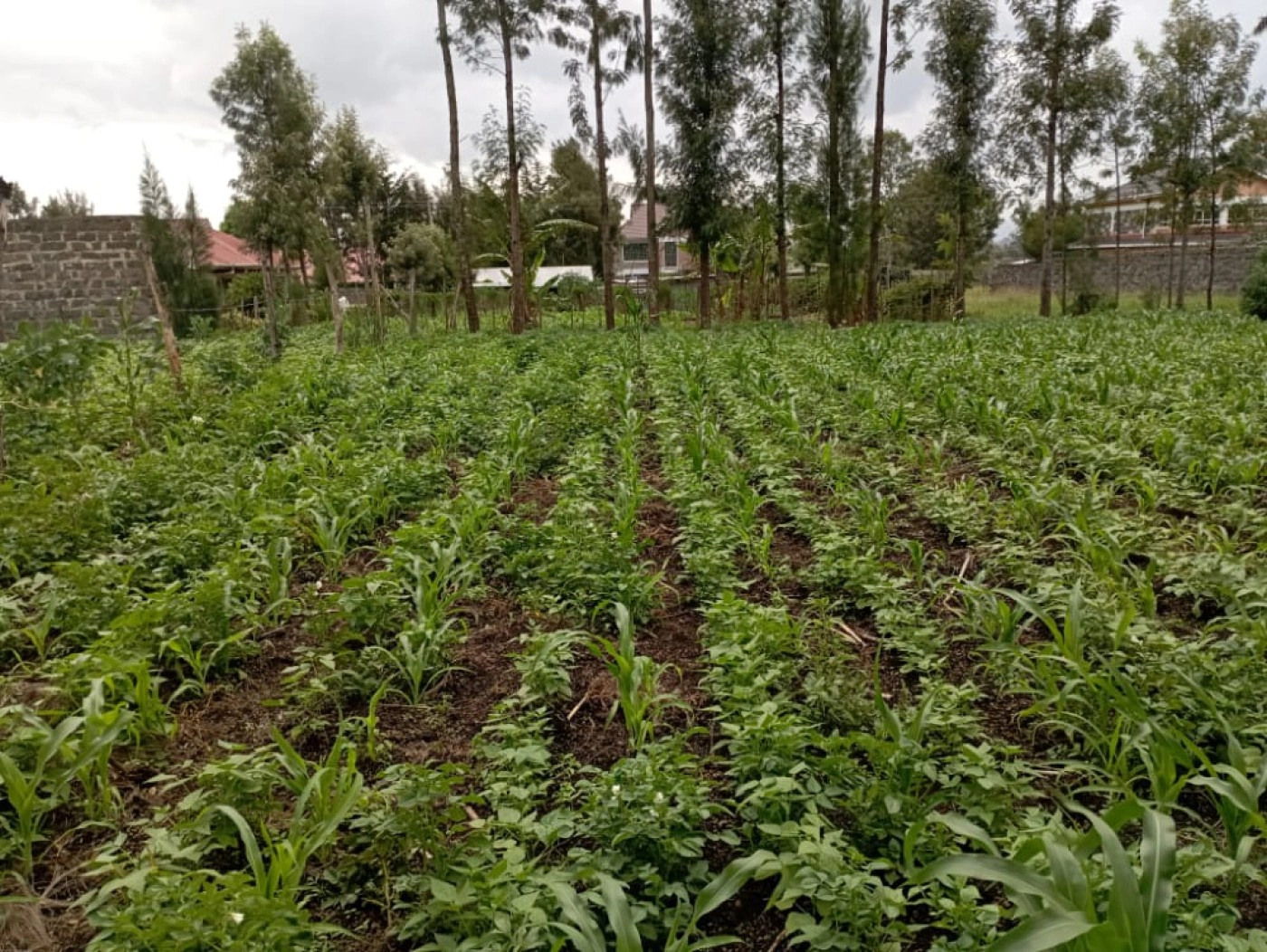 Участок 2020 m2 у дороги под строительство в Накуру