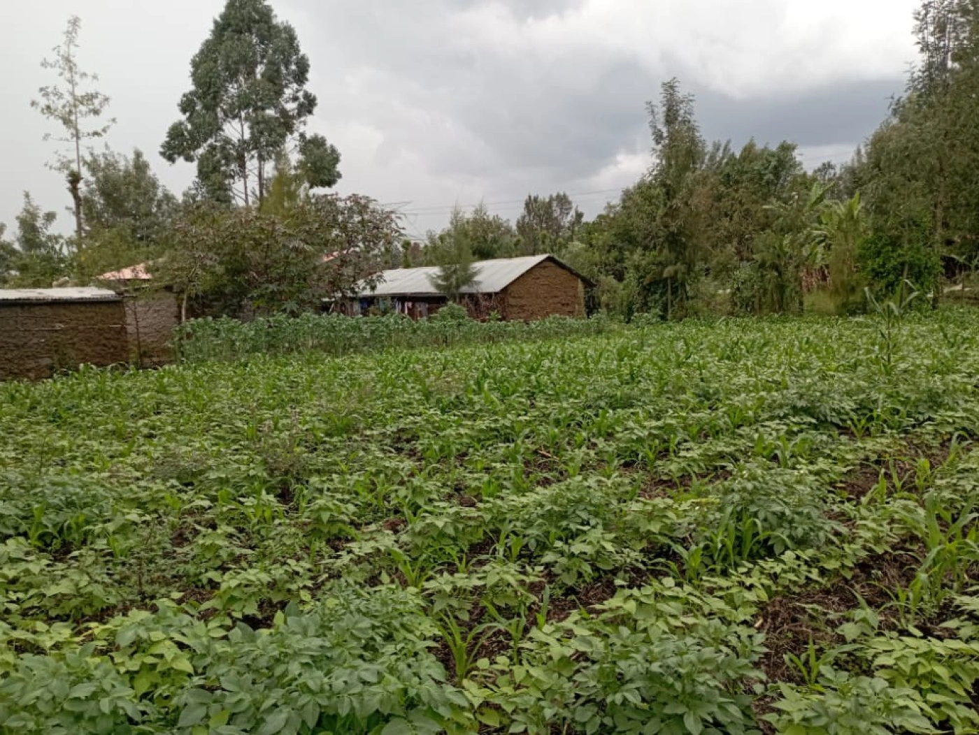 Участок 2020 m2 у дороги под строительство в Накуру