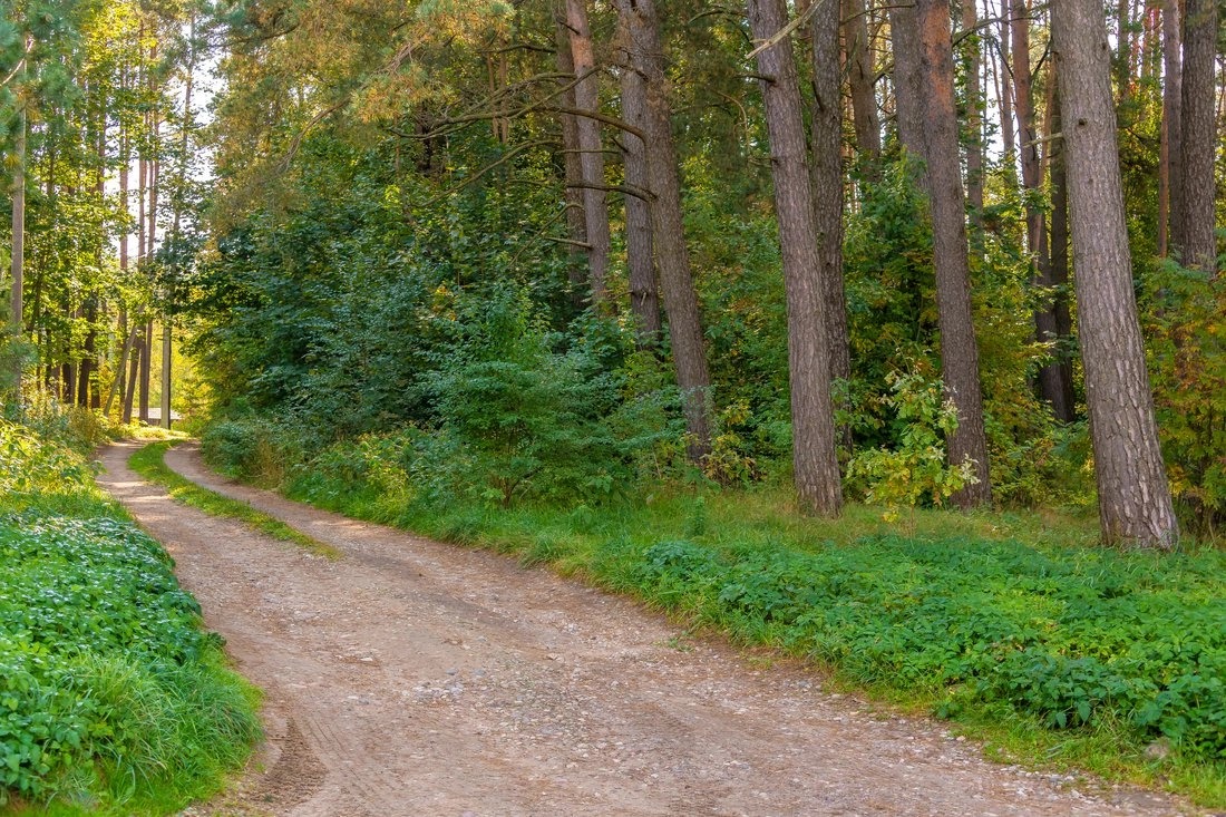 Участок 1257 m2 у реки для строительства виллы в Вильнюсе