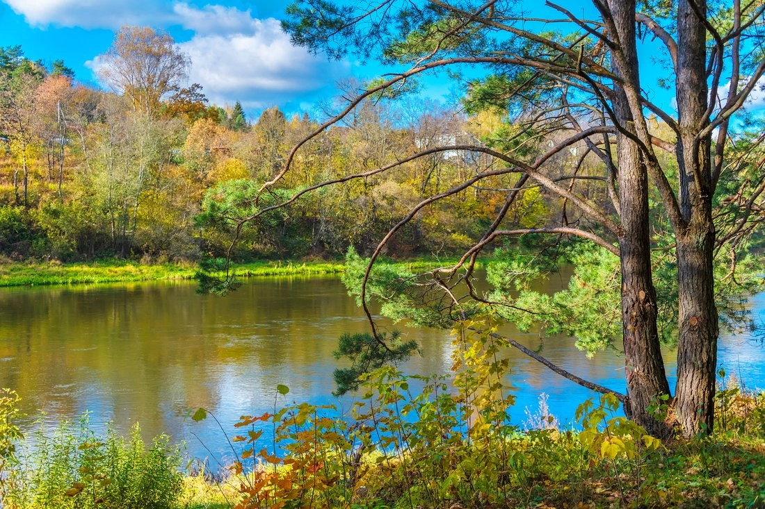 Участок 1257 m2 у реки для строительства виллы в Вильнюсе