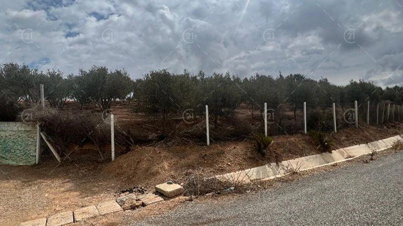 Земельный участок 15000 м² в Рабате-Салé-Темара, Марокко