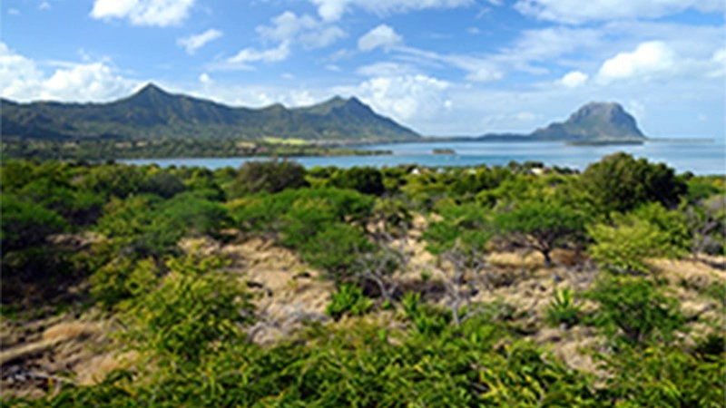 Участок 1712 m² в Grand Riviere Noir, Маврикий