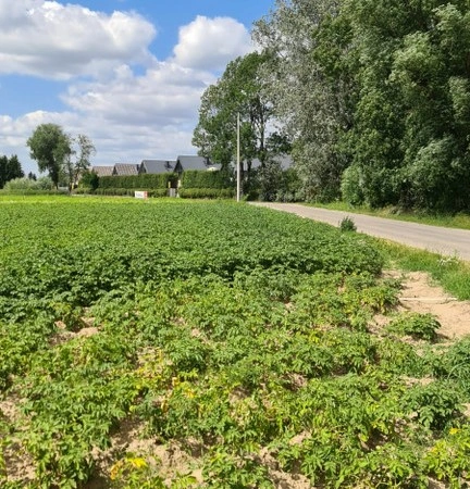 Земельный участок 17,500 m² в Варшаве, Польша