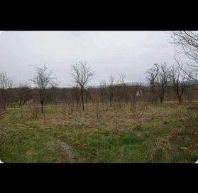 Участок площадью 7500 м² для строительства в Кралеве, Сербия