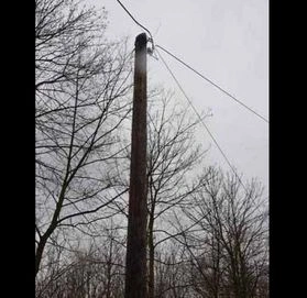 Участок площадью 7500 м² для строительства в Кралеве, Сербия