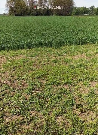 Участок площадью 7700 м2 для строительства в Белграде, Сербия