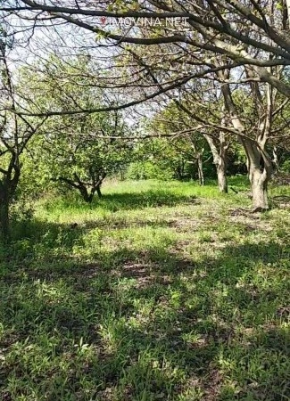 Участок площадью 7700 м2 для строительства в Белграде, Сербия