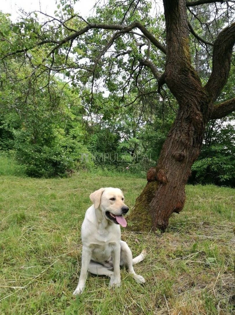 Участок 1418 м² в Кошице, Словакия