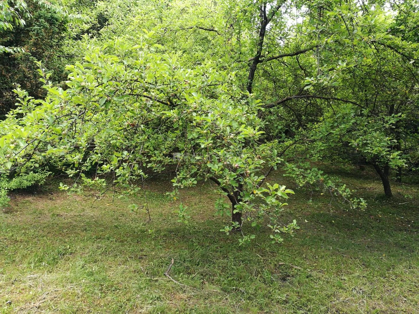 Участок 1418 м² в Кошице, Словакия