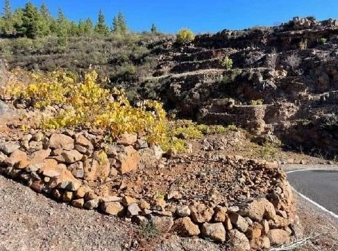 Земельный участок 27 367 м² на Тенерифе, Испания