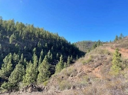 Земельный участок 27 367 м² на Тенерифе, Испания