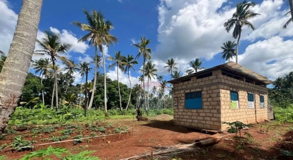 Сельскохозяйственный участок 39343 м² в Танзании