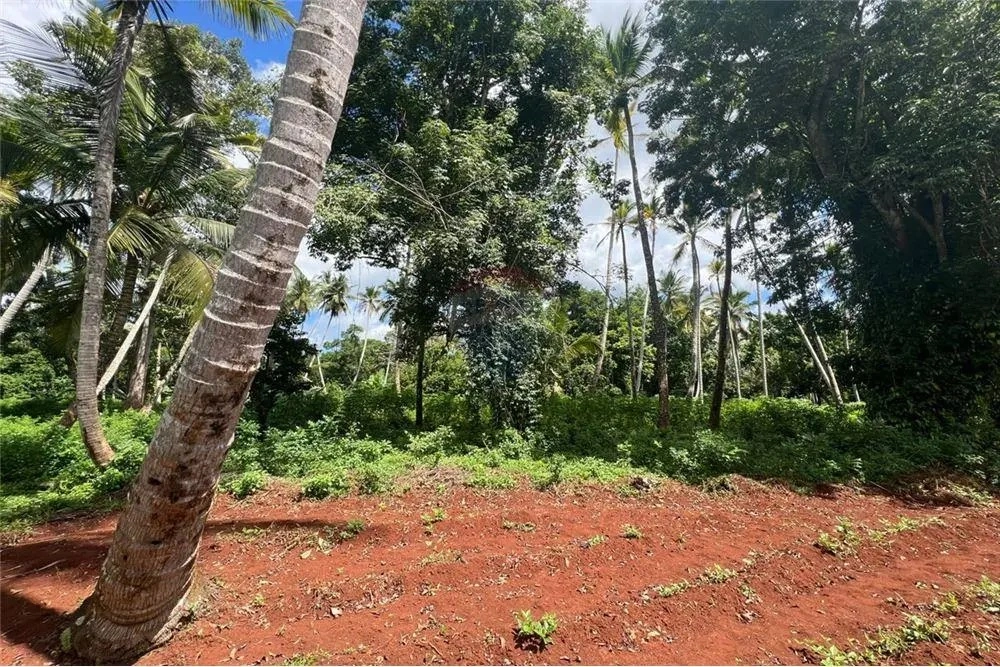 Сельскохозяйственный участок 39343 м² в Танзании