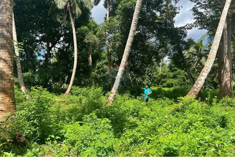 Сельскохозяйственный участок 39343 м² в Танзании