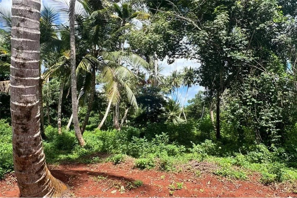 Сельскохозяйственный участок 39343 м² в Танзании