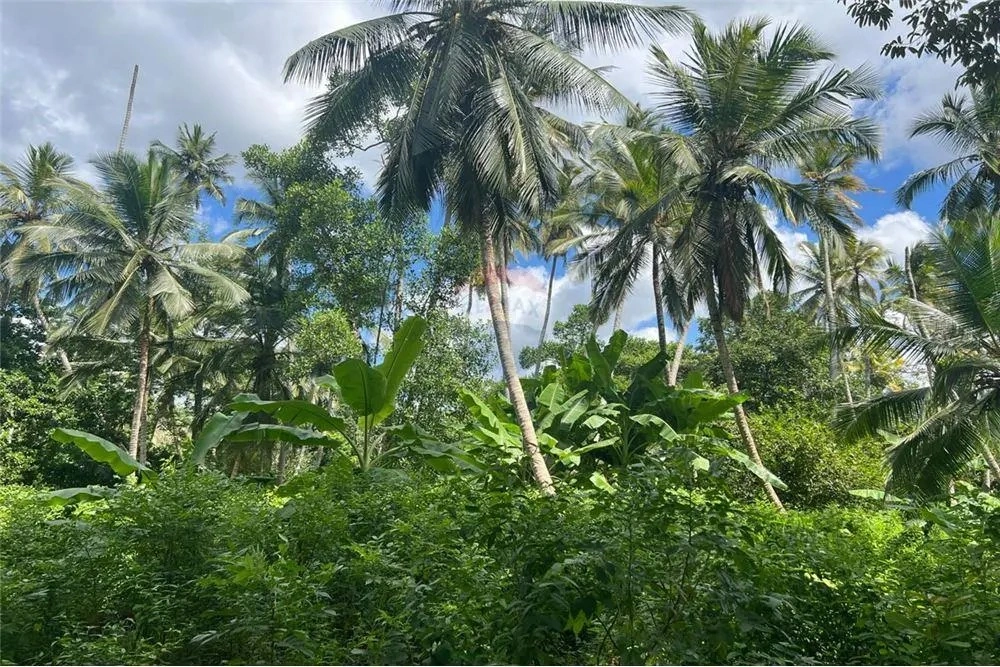 Сельскохозяйственный участок 39343 м² в Танзании