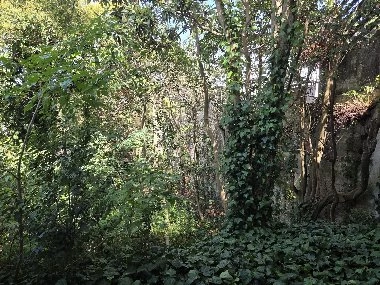 Участок 543 m² в Монтевидео, Уругвай