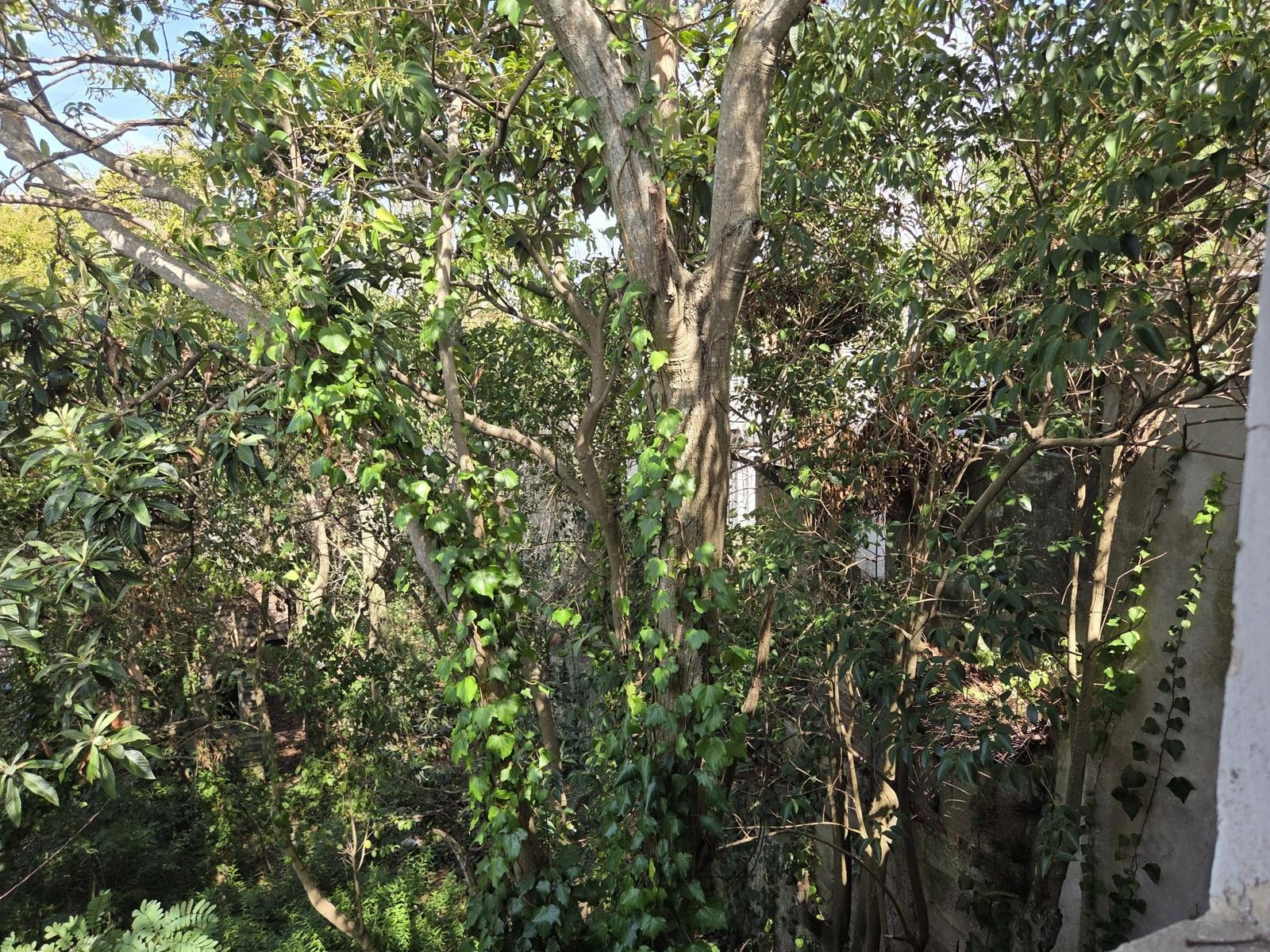 Участок 543 m² в Монтевидео, Уругвай