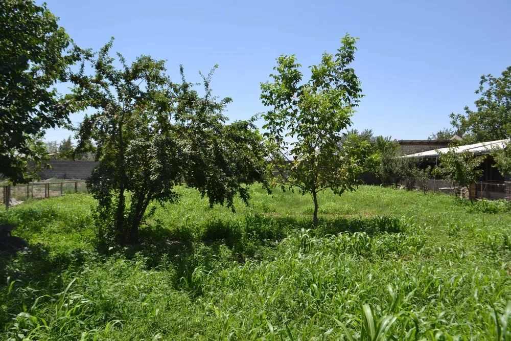 Земельный участок 1700 m2 в Самарканде, Узбекистан