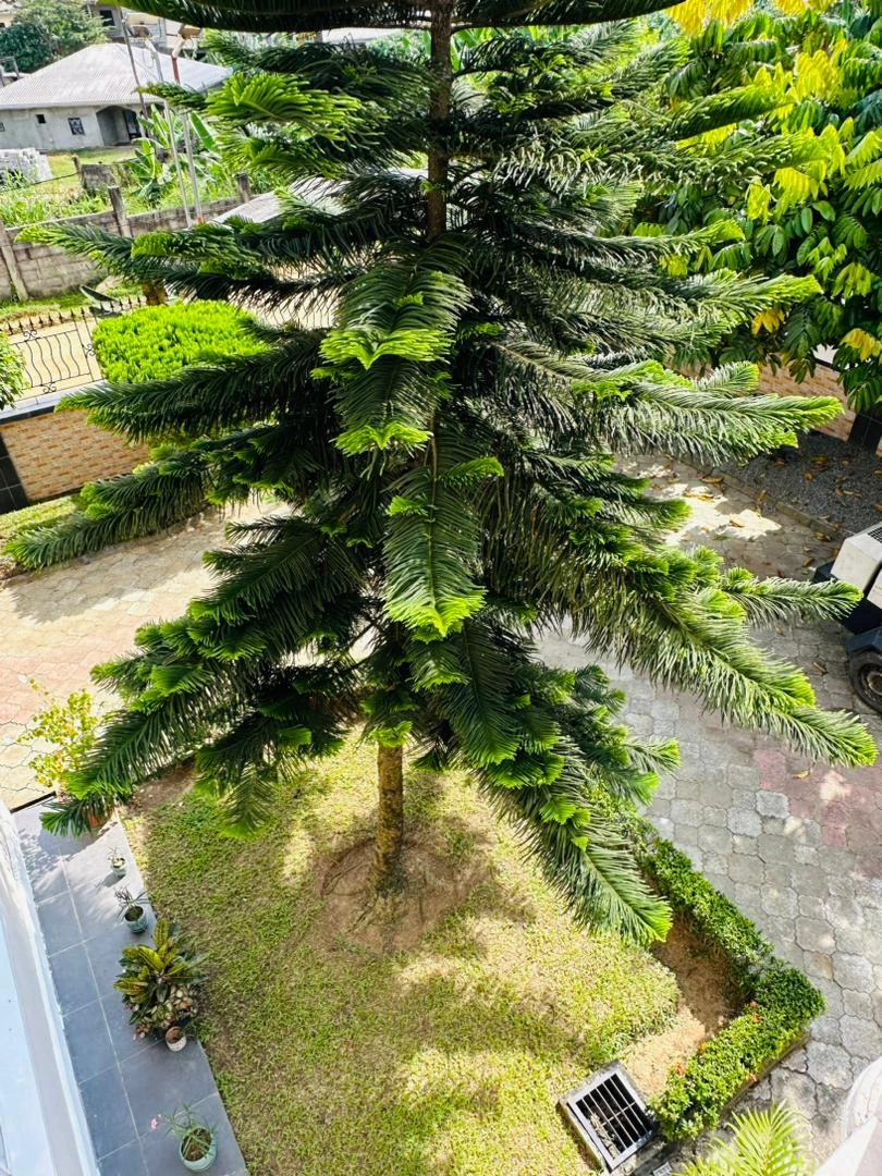 Дом 800 m² с парковкой в Дуале, Камерун