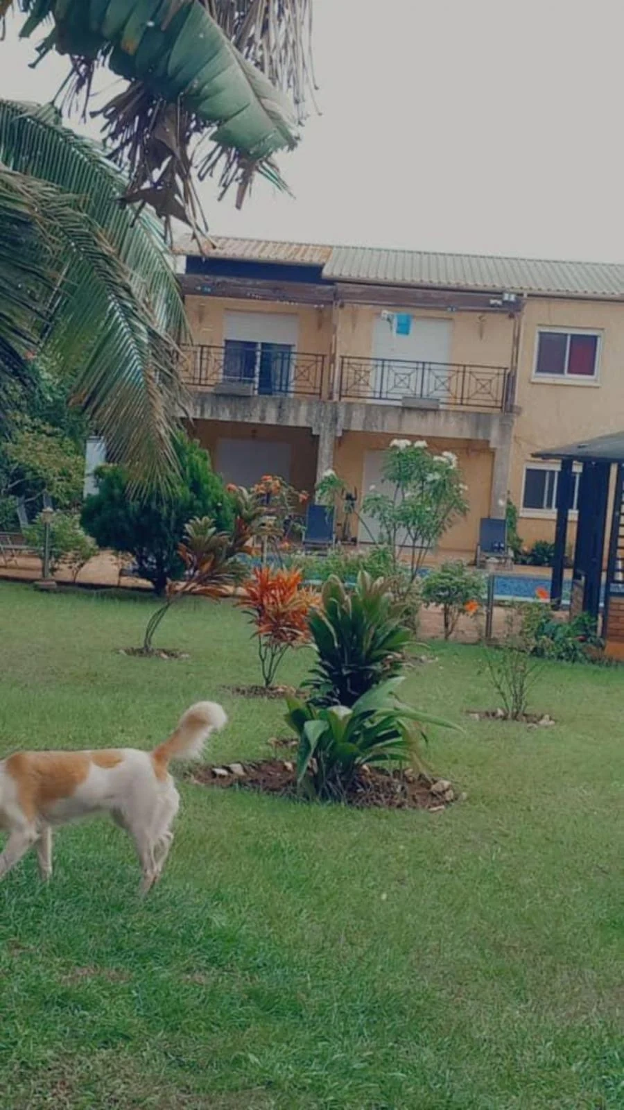 Дом 5+1 с открытым бассейном в Яунде, Камерун