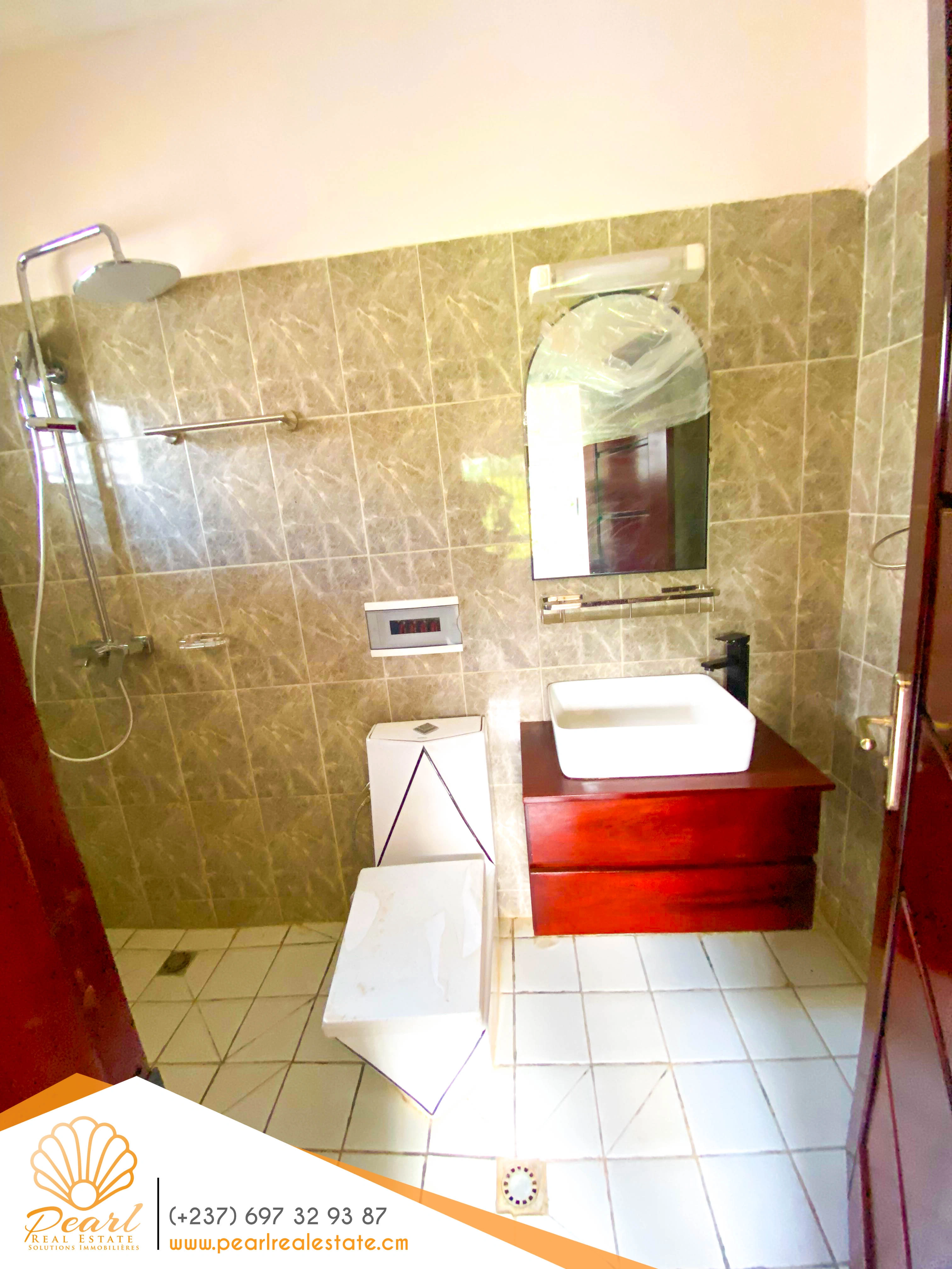 Дом 4+1 с камином в Яунде, Камерун