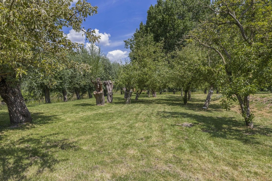 Роскошный дом в Роттердаме, Нидерланды